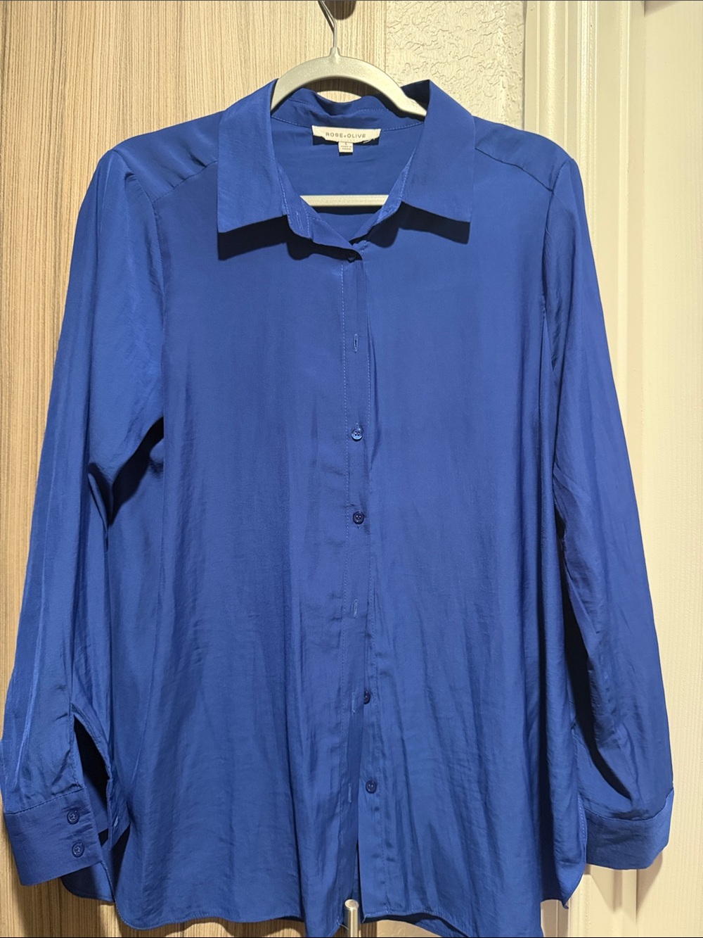 Rose & Olive Men's Royal Blue Long-Sleeve Button-Down Shirt